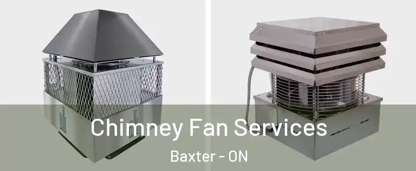  Chimney Fan Services Baxter - ON