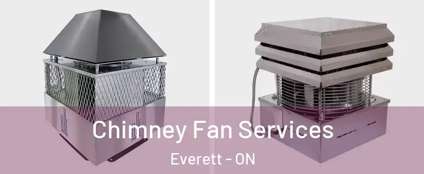  Chimney Fan Services Everett - ON