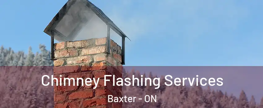  Chimney Flashing Services Baxter - ON
