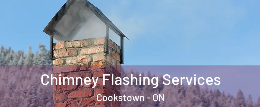  Chimney Flashing Services Cookstown - ON