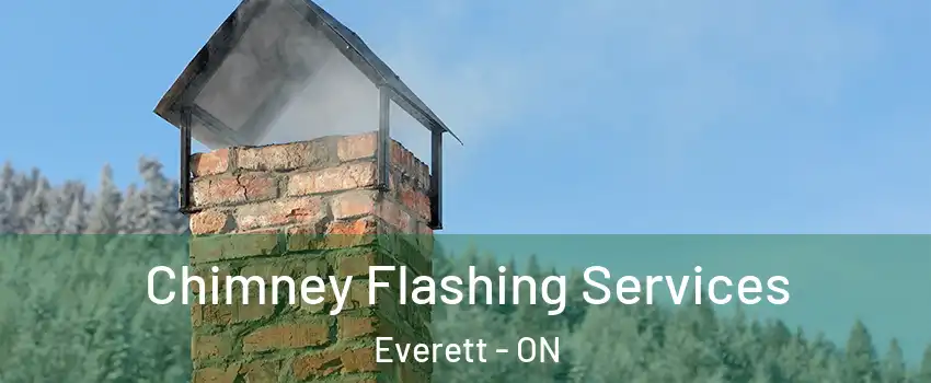  Chimney Flashing Services Everett - ON