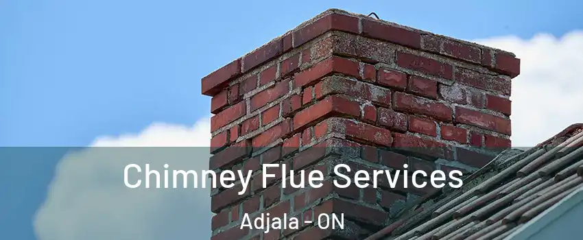  Chimney Flue Services Adjala - ON