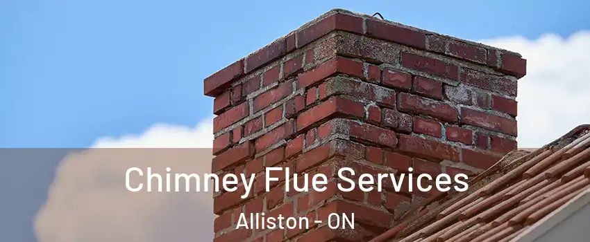  Chimney Flue Services Alliston - ON