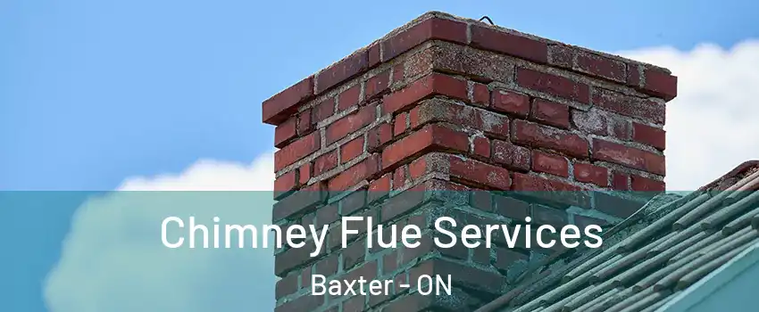  Chimney Flue Services Baxter - ON
