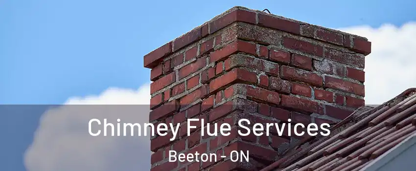  Chimney Flue Services Beeton - ON