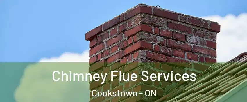  Chimney Flue Services Cookstown - ON