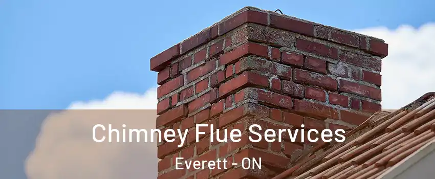  Chimney Flue Services Everett - ON