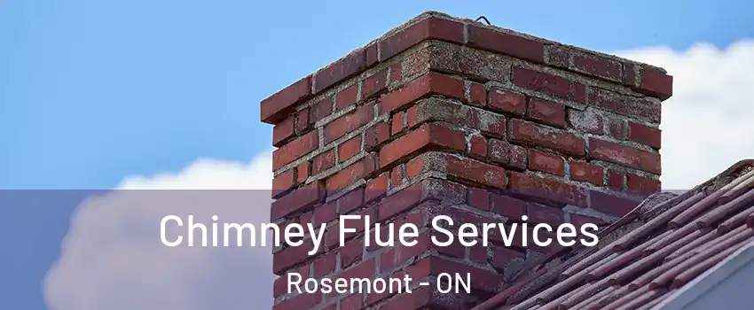  Chimney Flue Services Rosemont - ON