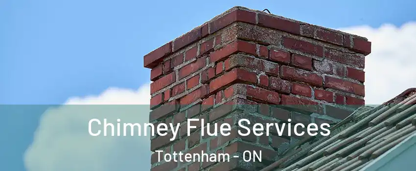 Chimney Flue Services Tottenham - ON