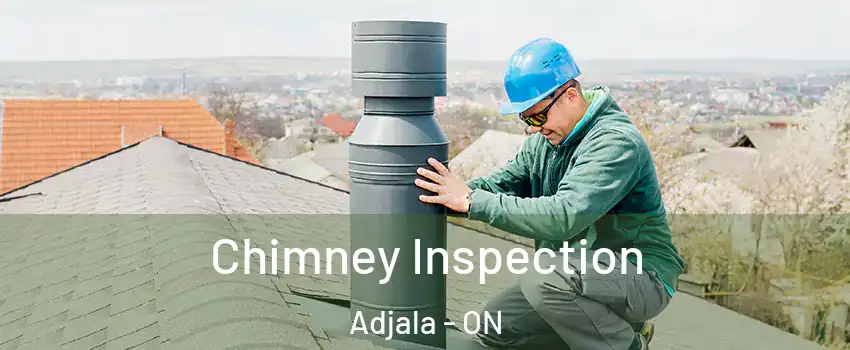  Chimney Inspection Adjala - ON