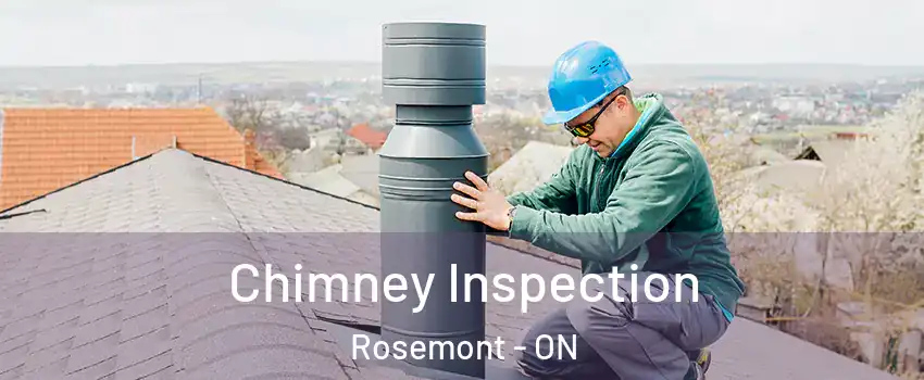  Chimney Inspection Rosemont - ON