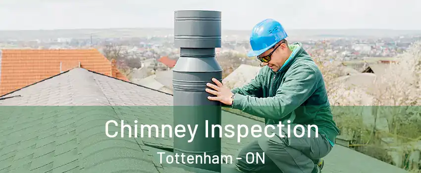  Chimney Inspection Tottenham - ON