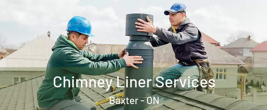  Chimney Liner Services Baxter - ON
