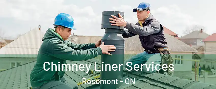  Chimney Liner Services Rosemont - ON