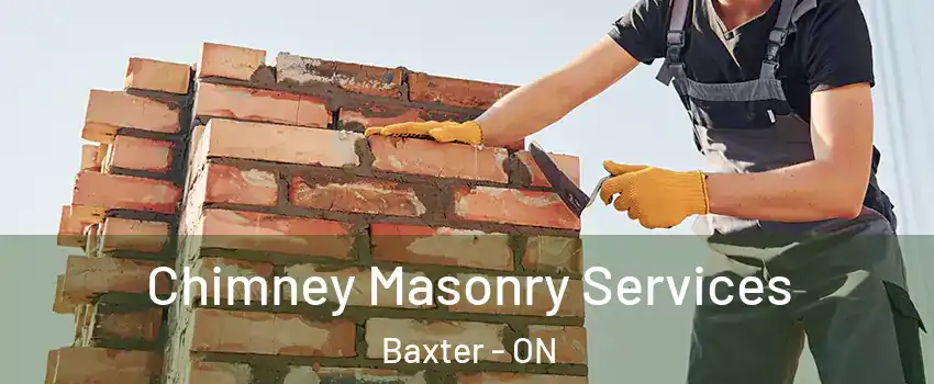  Chimney Masonry Services Baxter - ON