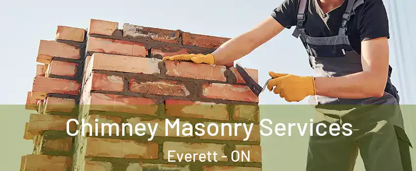  Chimney Masonry Services Everett - ON
