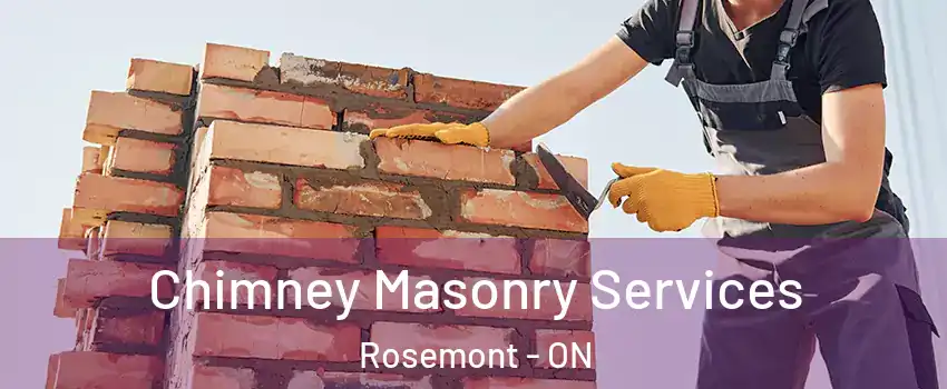  Chimney Masonry Services Rosemont - ON