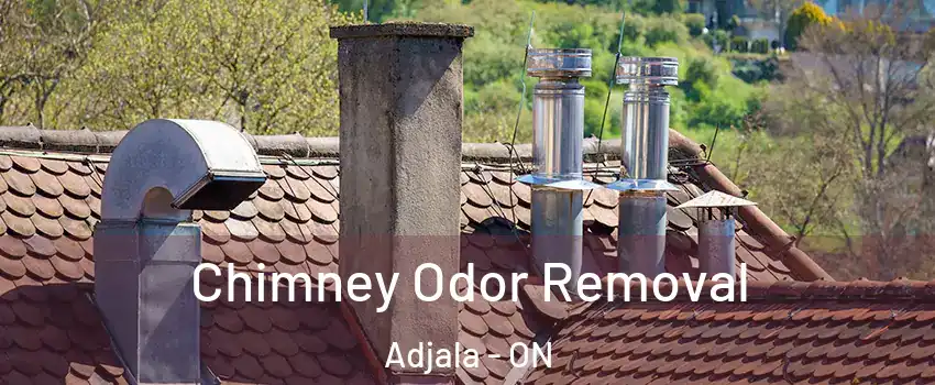  Chimney Odor Removal Adjala - ON