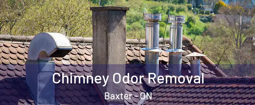  Chimney Odor Removal Baxter - ON