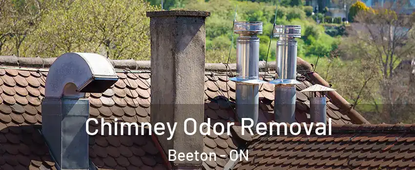  Chimney Odor Removal Beeton - ON