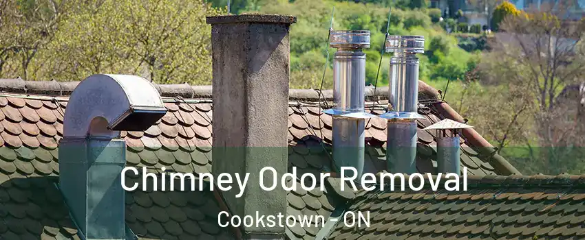  Chimney Odor Removal Cookstown - ON