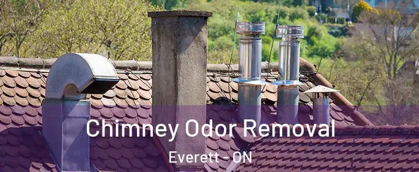  Chimney Odor Removal Everett - ON
