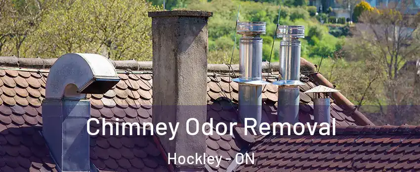  Chimney Odor Removal Hockley - ON