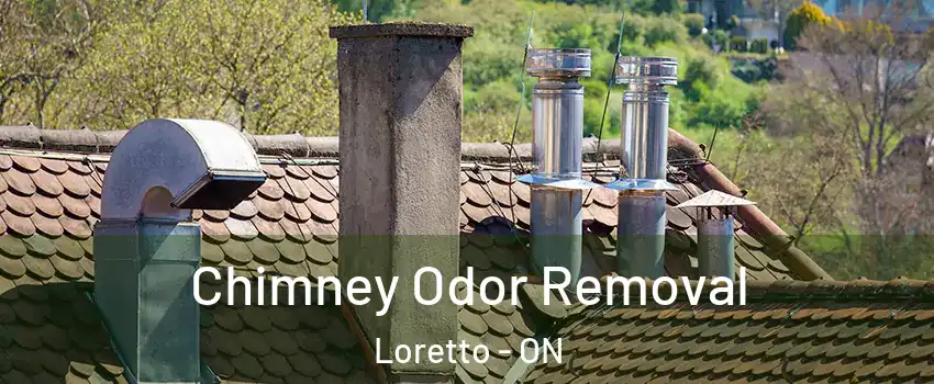  Chimney Odor Removal Loretto - ON