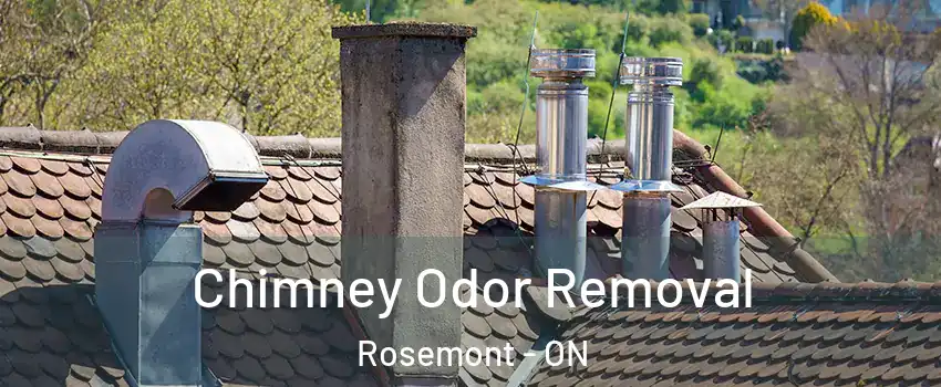  Chimney Odor Removal Rosemont - ON