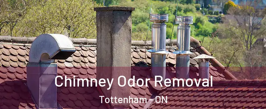  Chimney Odor Removal Tottenham - ON