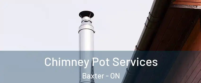  Chimney Pot Services Baxter - ON