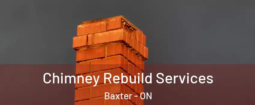  Chimney Rebuild Services Baxter - ON