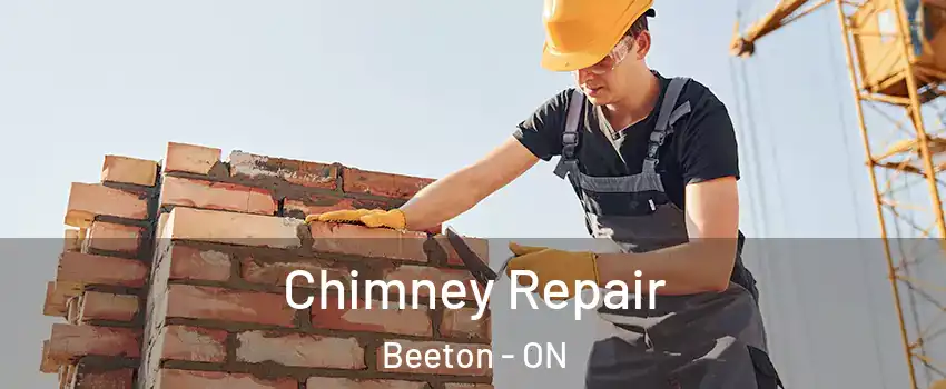  Chimney Repair Beeton - ON