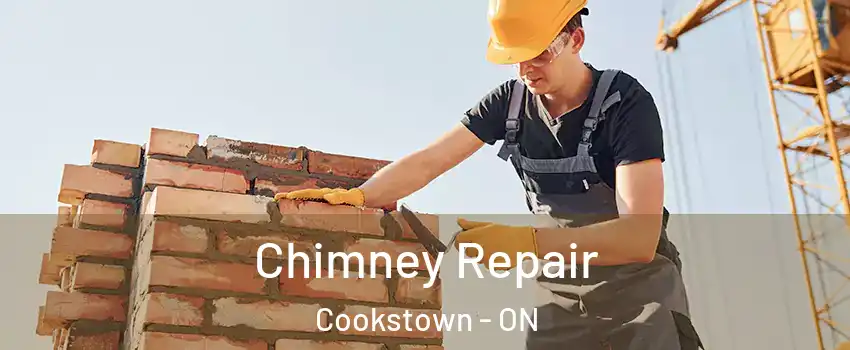  Chimney Repair Cookstown - ON