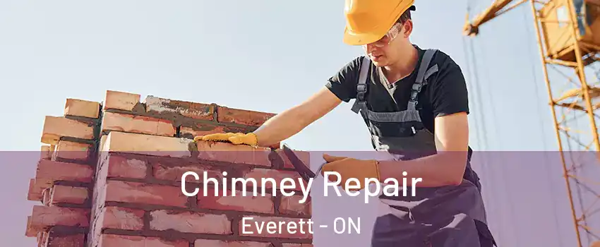  Chimney Repair Everett - ON