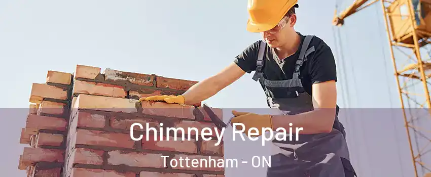 Chimney Repair Tottenham - ON