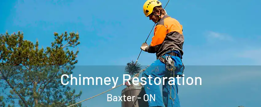  Chimney Restoration Baxter - ON