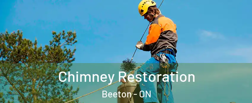  Chimney Restoration Beeton - ON