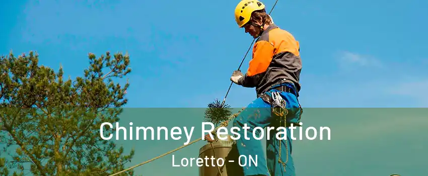  Chimney Restoration Loretto - ON