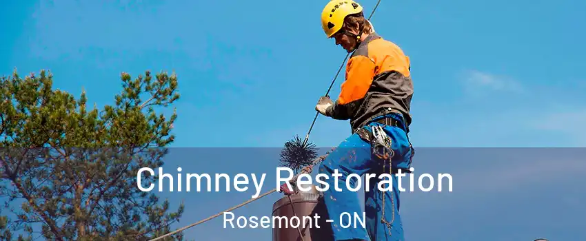  Chimney Restoration Rosemont - ON
