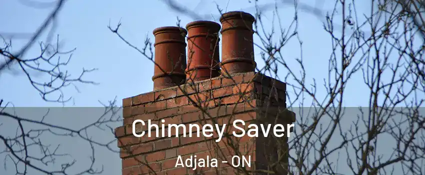  Chimney Saver Adjala - ON