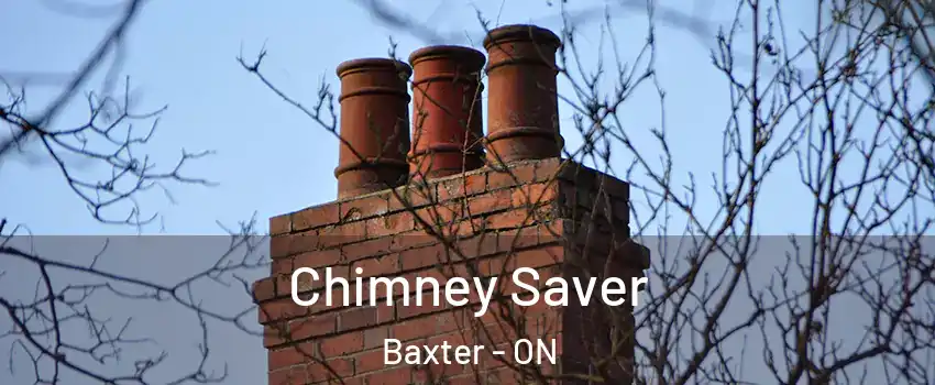  Chimney Saver Baxter - ON