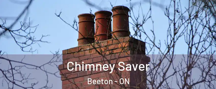  Chimney Saver Beeton - ON