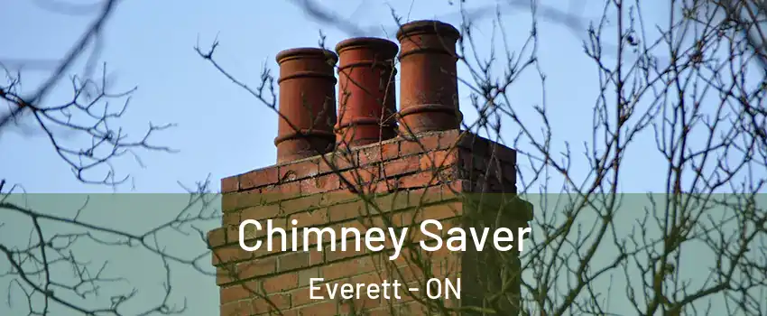  Chimney Saver Everett - ON