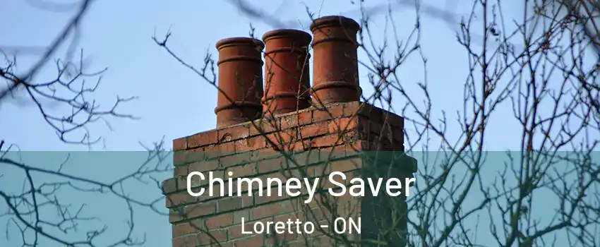  Chimney Saver Loretto - ON