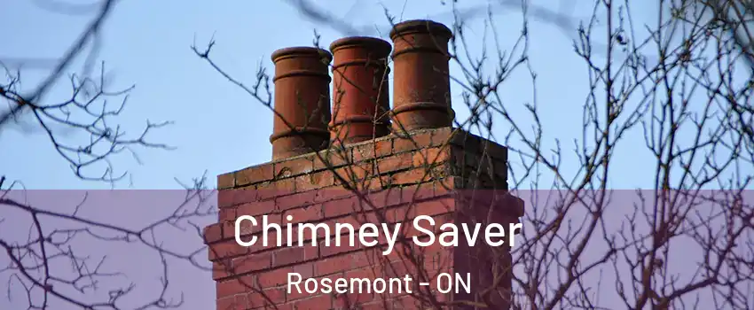  Chimney Saver Rosemont - ON