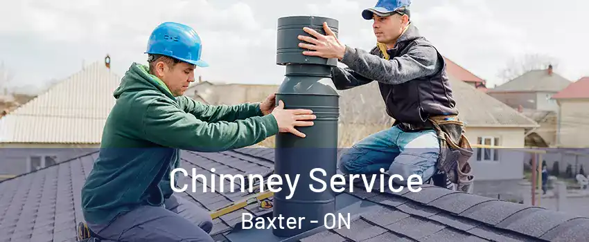  Chimney Service Baxter - ON