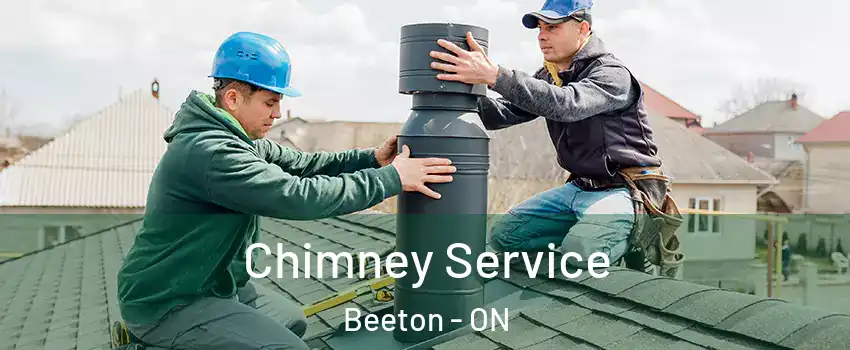  Chimney Service Beeton - ON