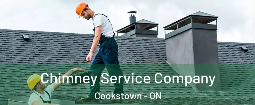  Chimney Service Company Cookstown - ON