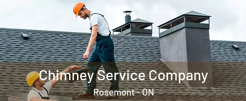  Chimney Service Company Rosemont - ON